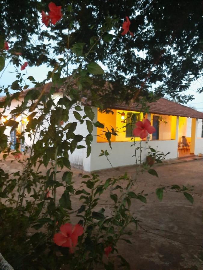 Three-Bedroom Chalet