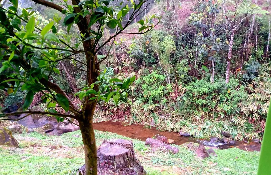 Chale Encanto Veu Da Noiva-1