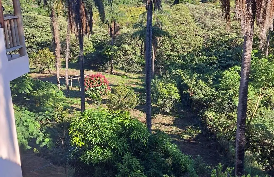 Pousada Sempre Luz-1