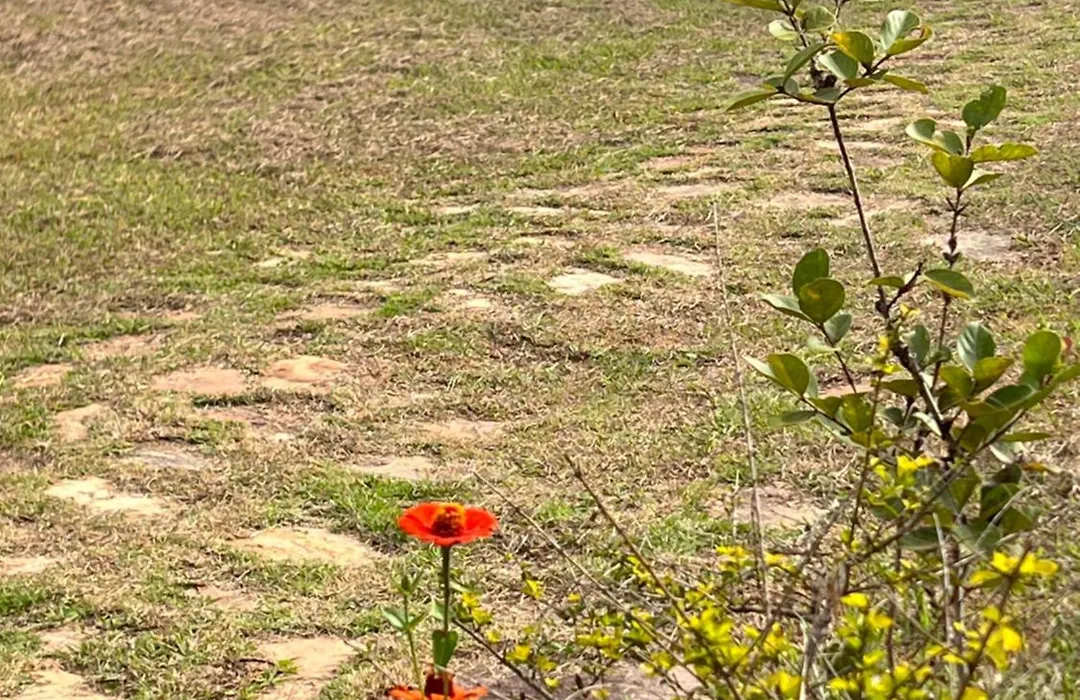 Sitio Vale das Montanhas-1