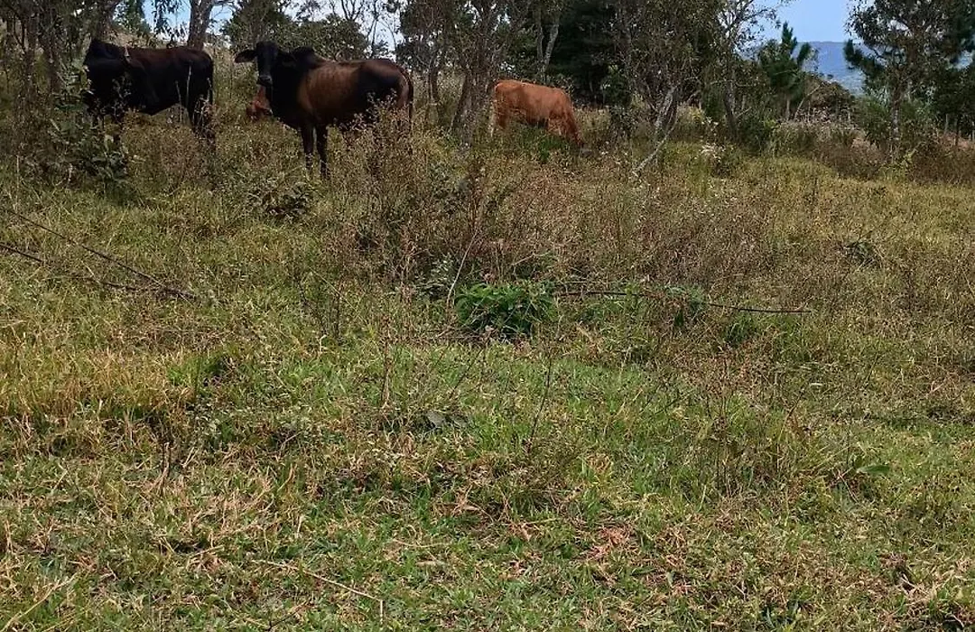 Recanto da Serra-1