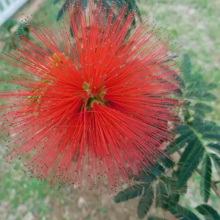 Chales Viver A Mantiqueira-3