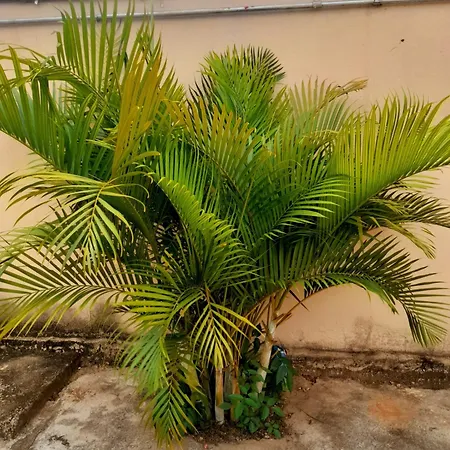 Hotel 3 irmaos-3
