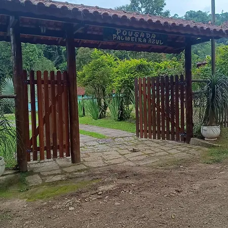 Palmeira Azul-3