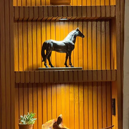 Hotel Fazenda Igarapés-2