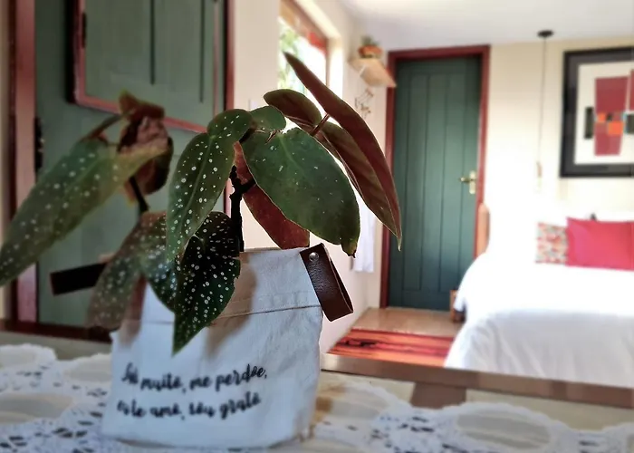 Estúdio Amor: refúgio à dois nas montanhas Lavras Novas