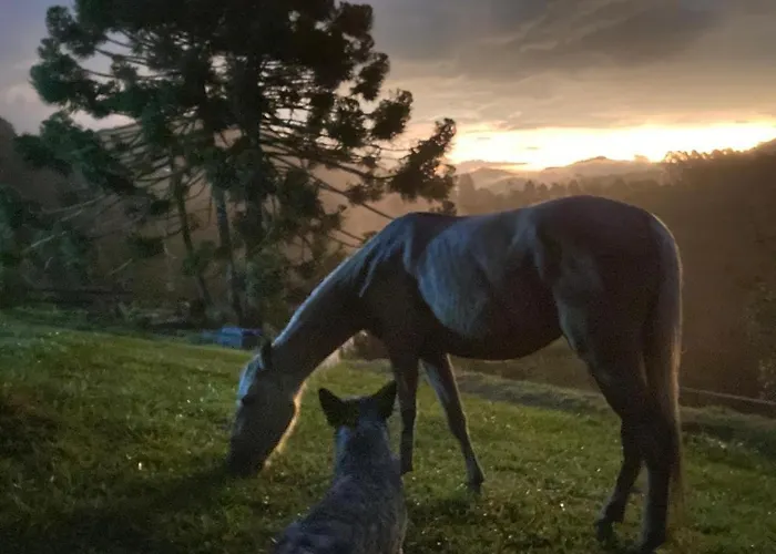 Chale Da Horseland Bj Hotel Camanducaia