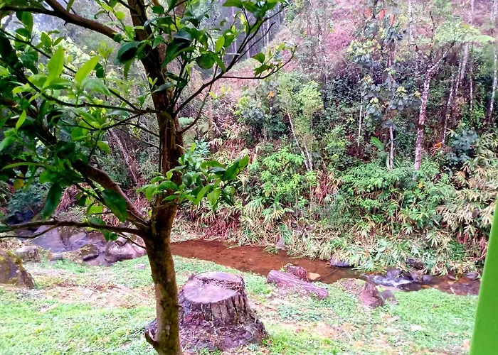 Chale Encanto Veu Da Noiva Visconde De Maua