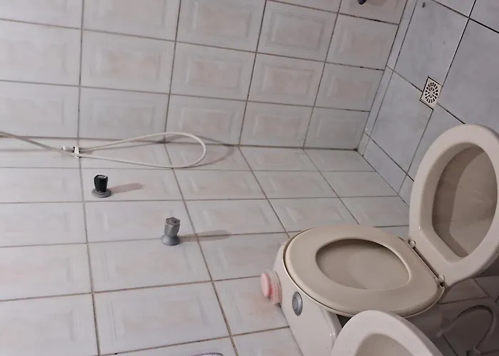 Acomodaçaoes koynonya Sete Lagoas que aceita animais de estimação