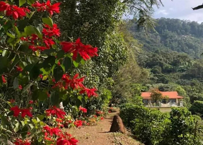 Pousada Lambari Montanha Hotel