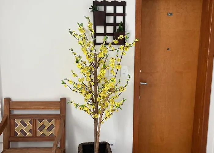 Apartamento Centro Lavras