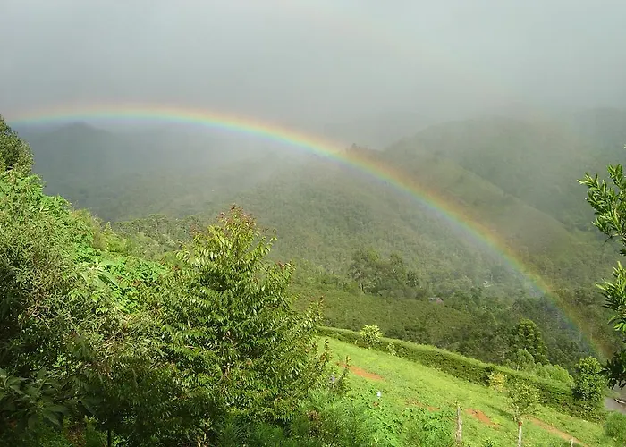 Orgânica-Mente B&B Visconde De Maua