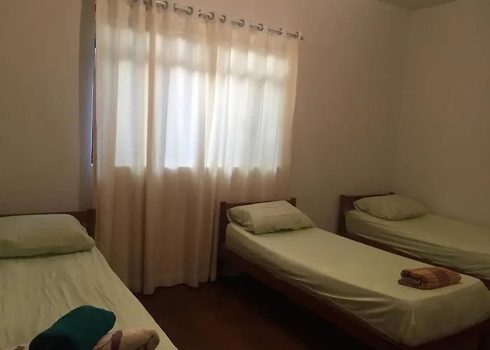 Hostel Assis Divinópolis que aceita animais de estimação