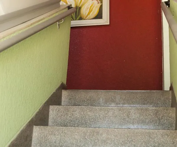 Hotel Oasis Contagem que aceita animais de estimação