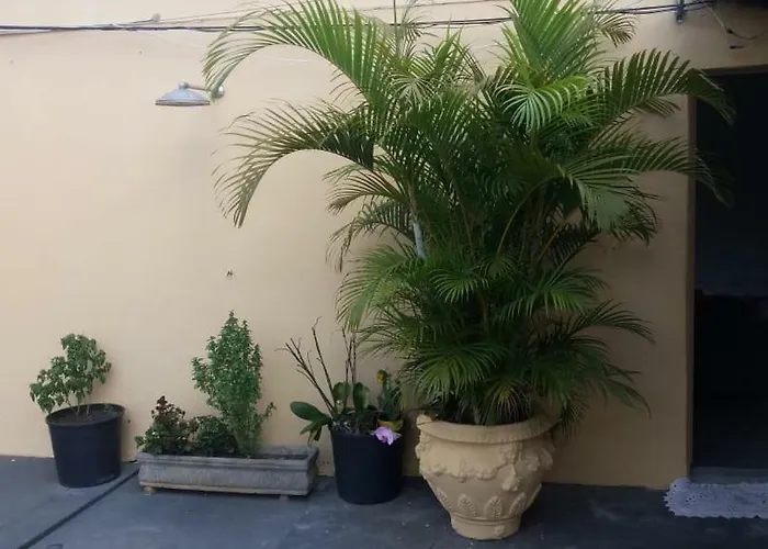 Pousada da Sônia Apartamento Uberlândia que aceita animais de estimação
